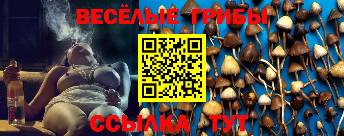 Галлюциногенные грибы мухоморы  Галлюциногенные грибы ЛСД  Вход с VPN  Шатура 