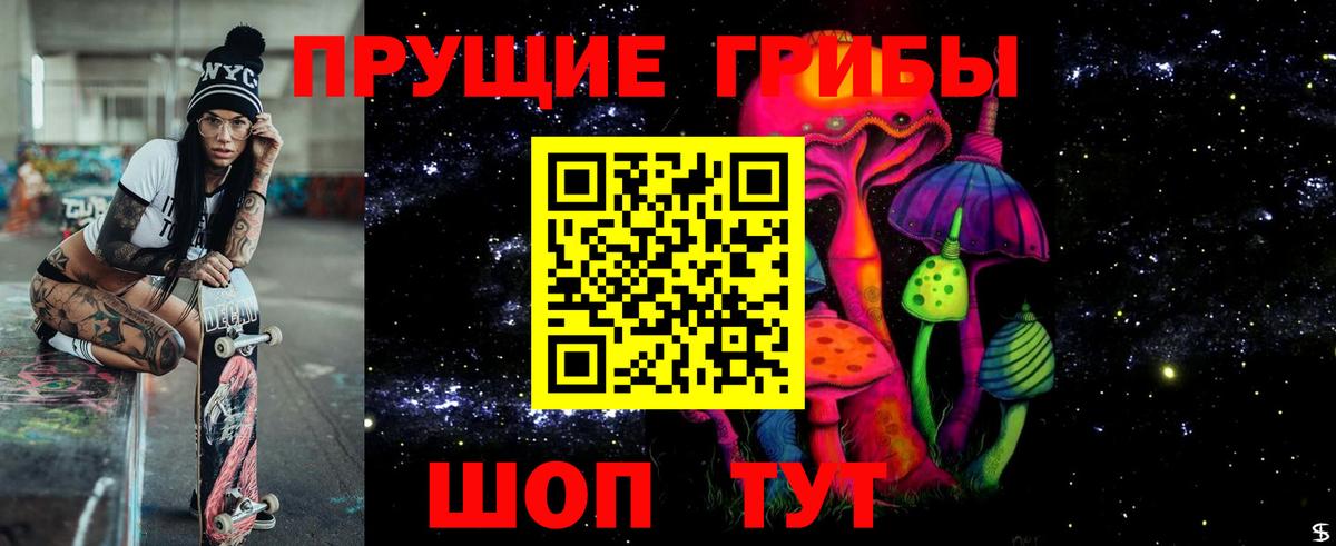 Галлюциногенные грибы Psilocybine cubensis Шатура