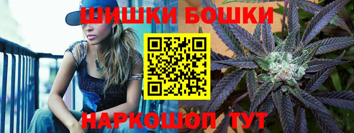 Бошки Шишки план Шатура